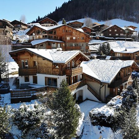 Chalet Chantelle 莫尔济讷 外观 照片